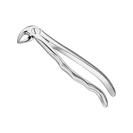 Extracting forceps, anat.